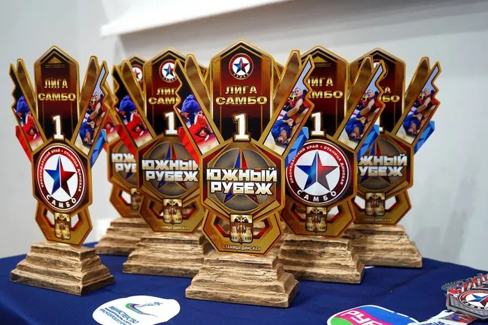 Краевые соревнования по самбо «ЛИГА САМБО. ЮЖНЫЙ РУБЕЖ» II этап среди юношей 16-18 лет